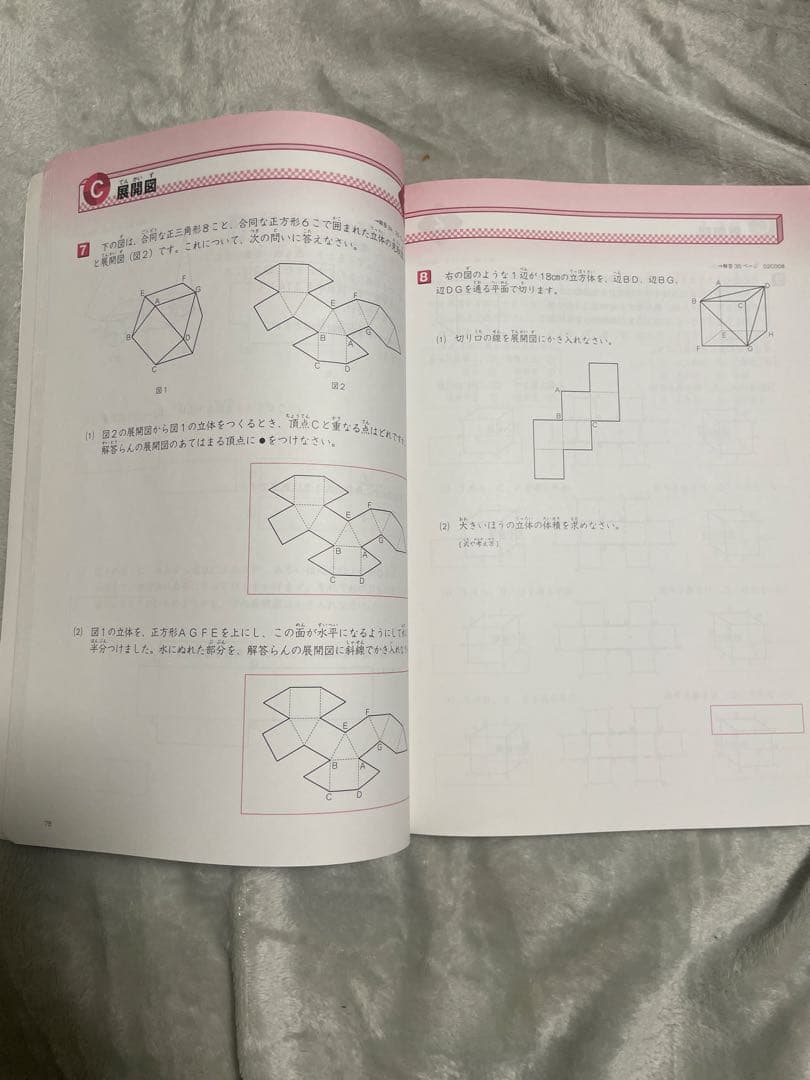 玉井式　図形の極 Professional 2級