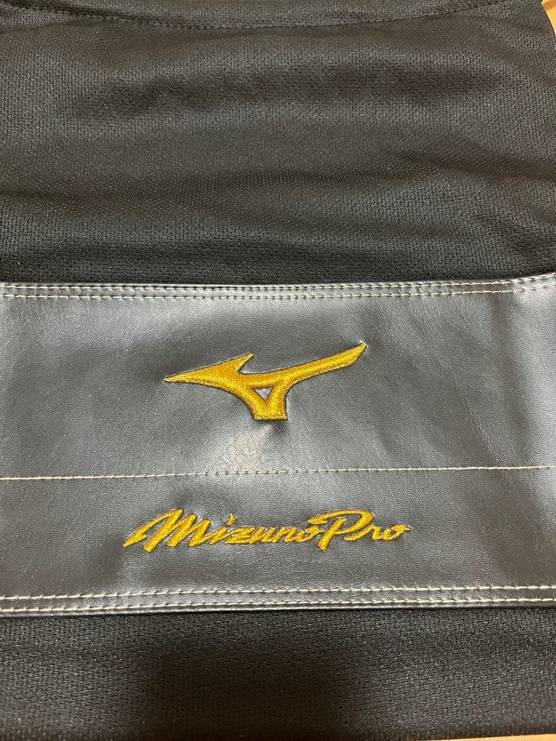 Mizuno ミズノプロ グラブ 右手用