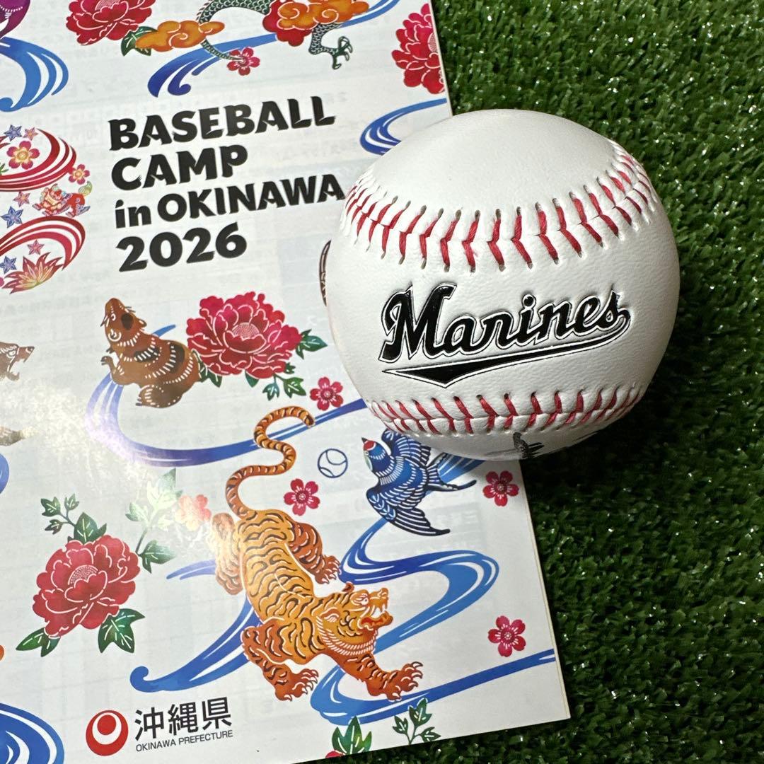 千葉ロッテマリーンズ 石垣元気選手 直筆サインボール 球団ロゴ球