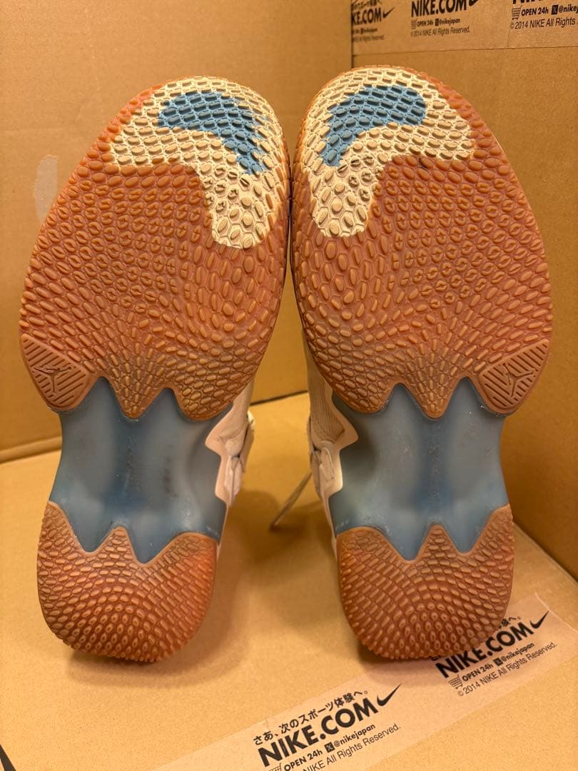 NIKE JORDAN WHY NOT.5 HTG PF 西ブル 31cm