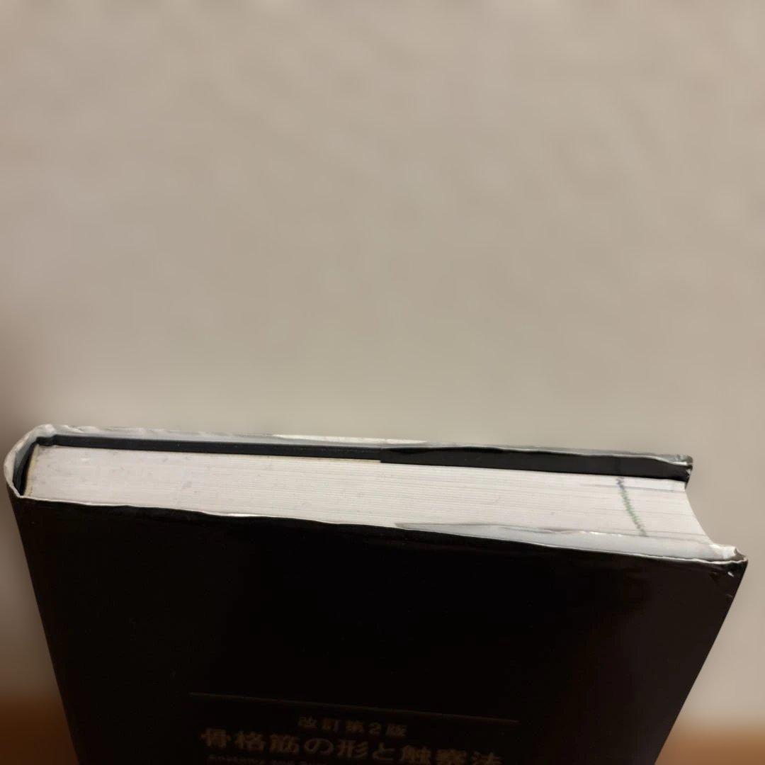 骨格筋の形と触察法