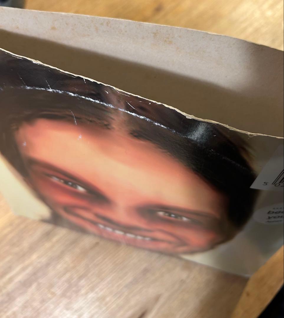 Aphex Twin ‎/…I Care Because You Do アナログ