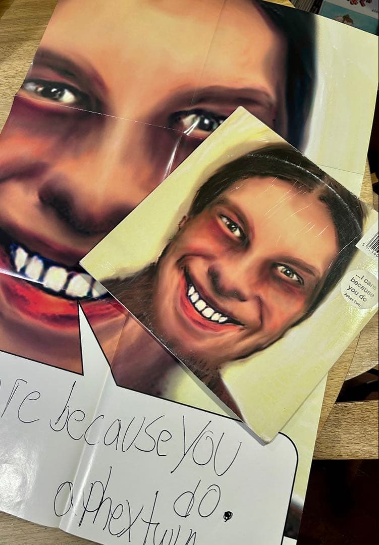 Aphex Twin ‎/…I Care Because You Do アナログ