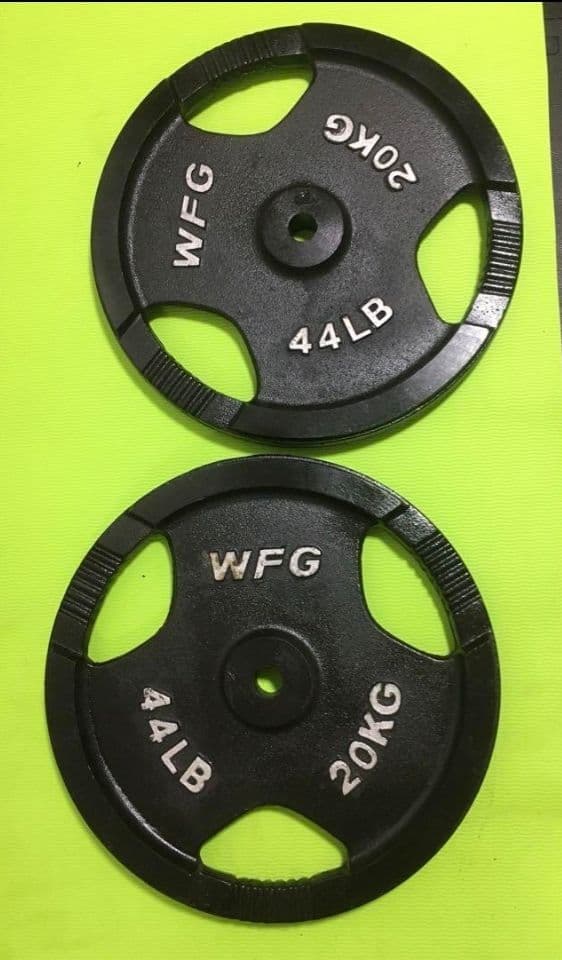 ②WILDFIT ワイルドフィット プレート 20kg x 1枚(同時購入)