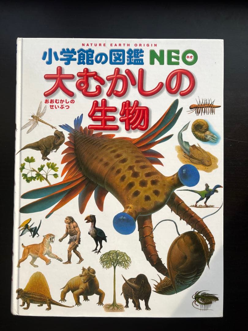 小学館の図鑑NEO 6冊セット　DVD５枚付き