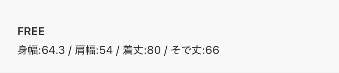 ETRÉ TOKYO キャンディースリーブシルキーシャツ