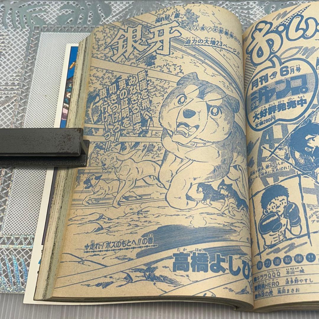 週刊少年ジャンプ 1984年6月4日　鳥山明　ドクタースランプ　とりやまあきら