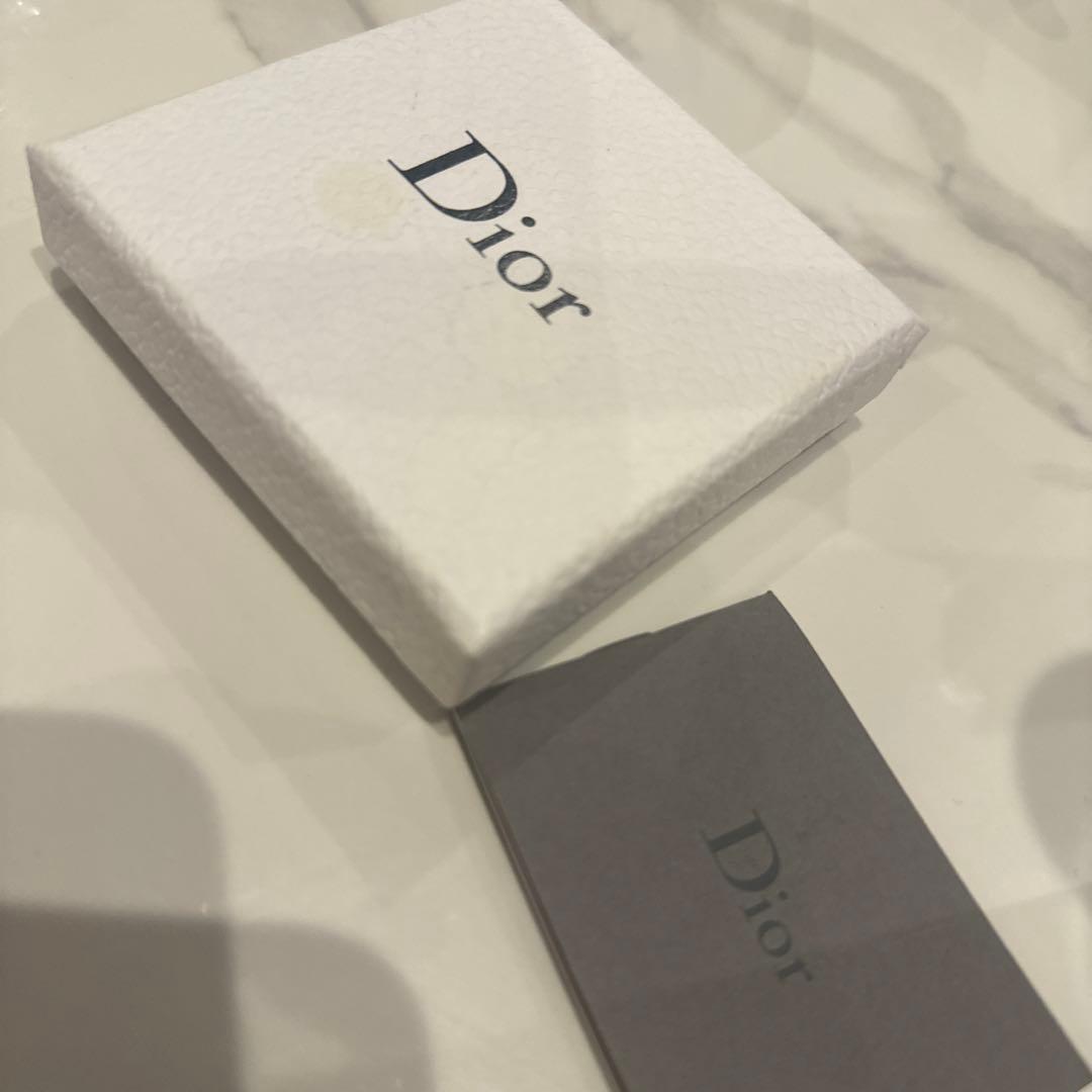 DIOR 今季新作 片耳ピアス ライオンチャーム