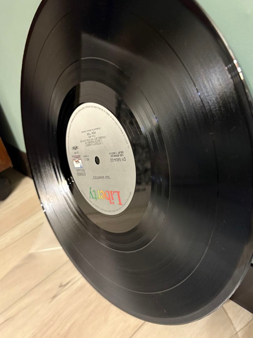 High Tide/Sea Shanties/DY-5804-02 LPレコード