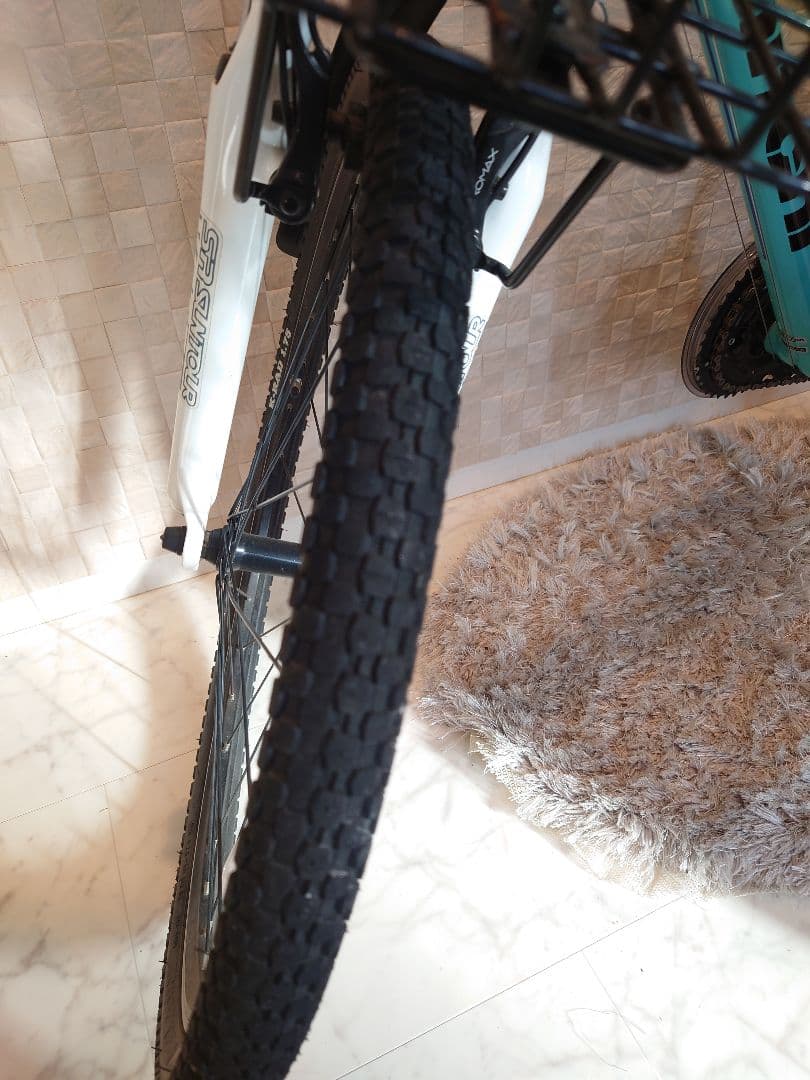 Bianchi EAGLE/ビアンキイーグル 24インチ 引き取り/引渡し限定
