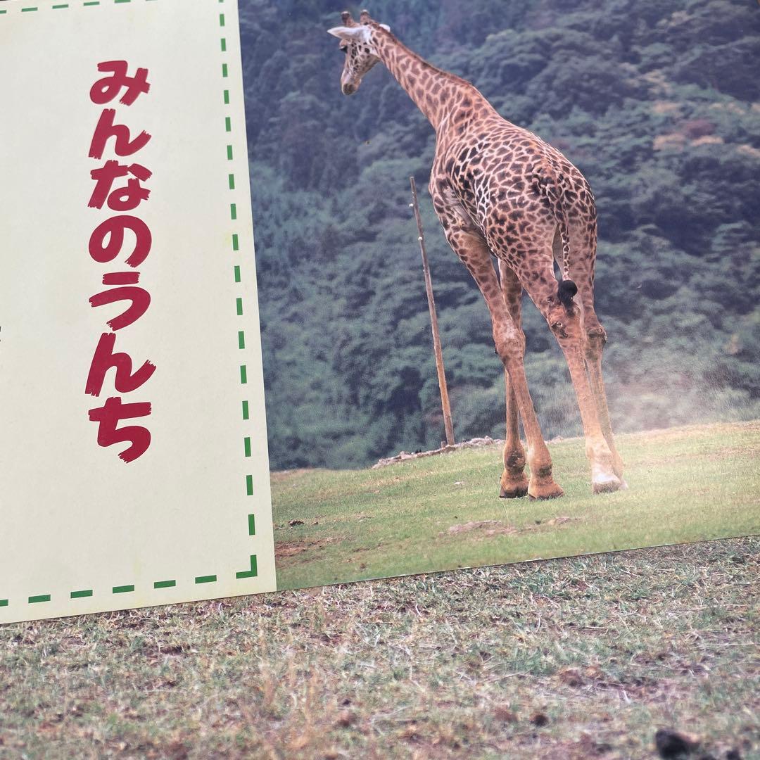 いきもの　教育画劇の紙芝居　10冊