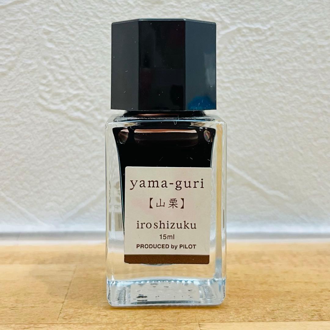 ◾️廃盤品含む◾️iroshizuku 万年筆インクセット 15ml 9本セット