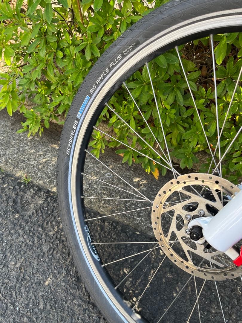 軽量Rocky Mountain Element マウンテンバイク　カーボン