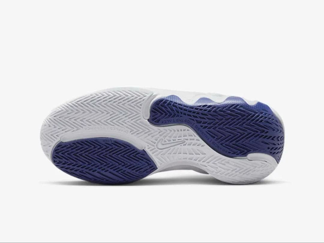 NIKE Giannis Immortality 2 24.5cm 新品未使用