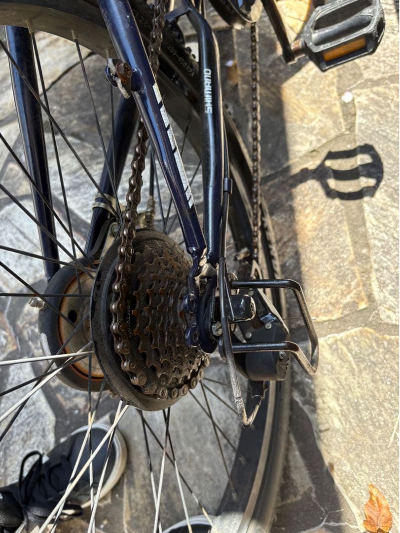 22インチ　自転車　子供　COGHORN miami