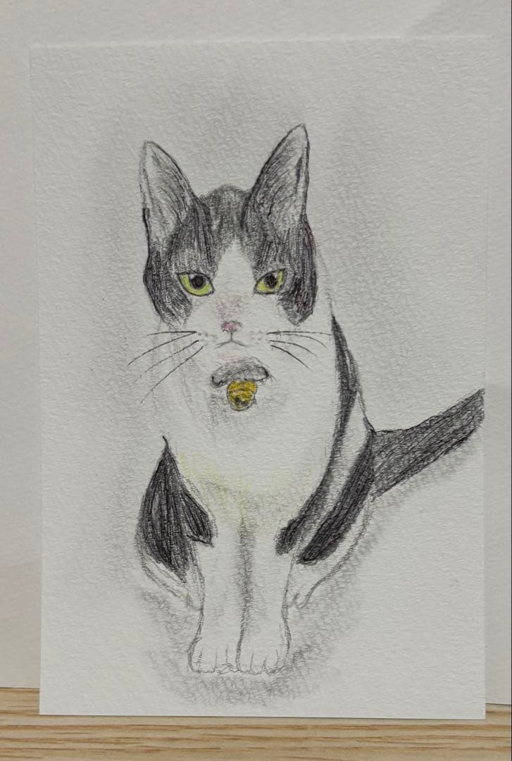 yayoi　猫　色鉛筆画　原画　ポストカード