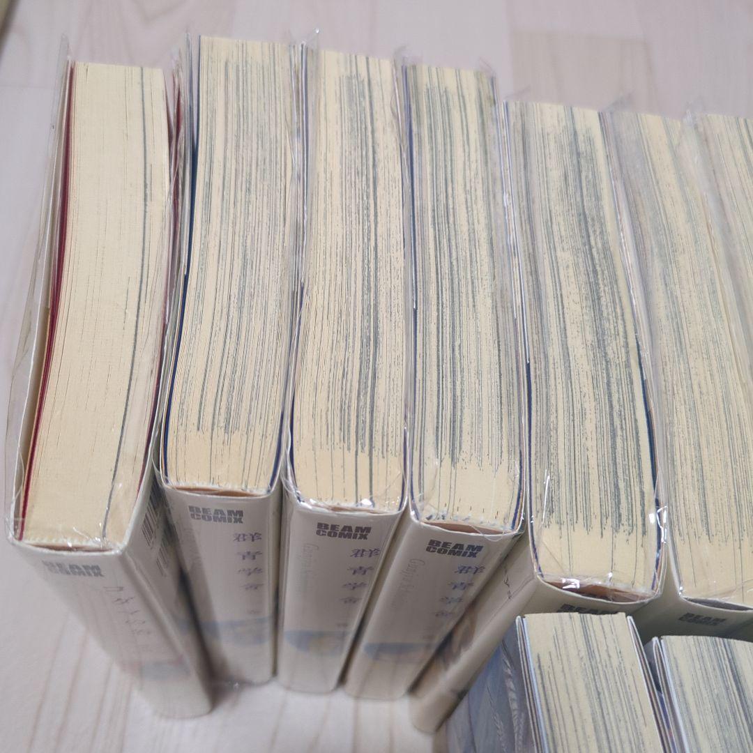 入江亜季　コダマの谷　群青学舎　乱と灰色の世界　北北西に雲と往け　計19冊