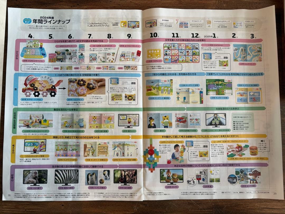 こどもちゃれんじ　ほっぷ　2024年度　1年フルセット