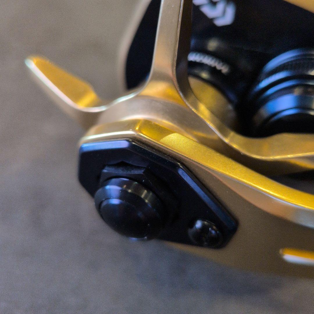 ダイワ　21 ソルティガ　IC 100 超　美品