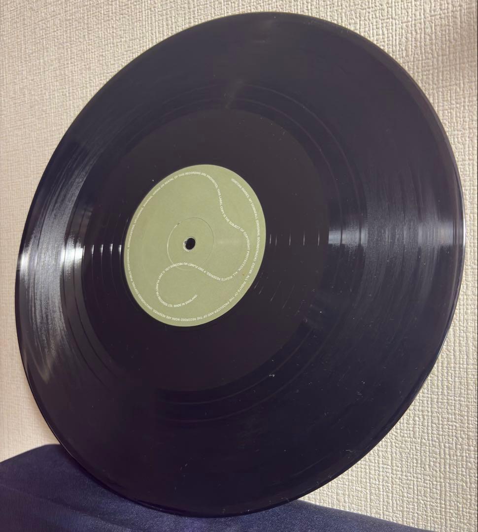 Venetian Snares – My Downfall 2LP Vinyl