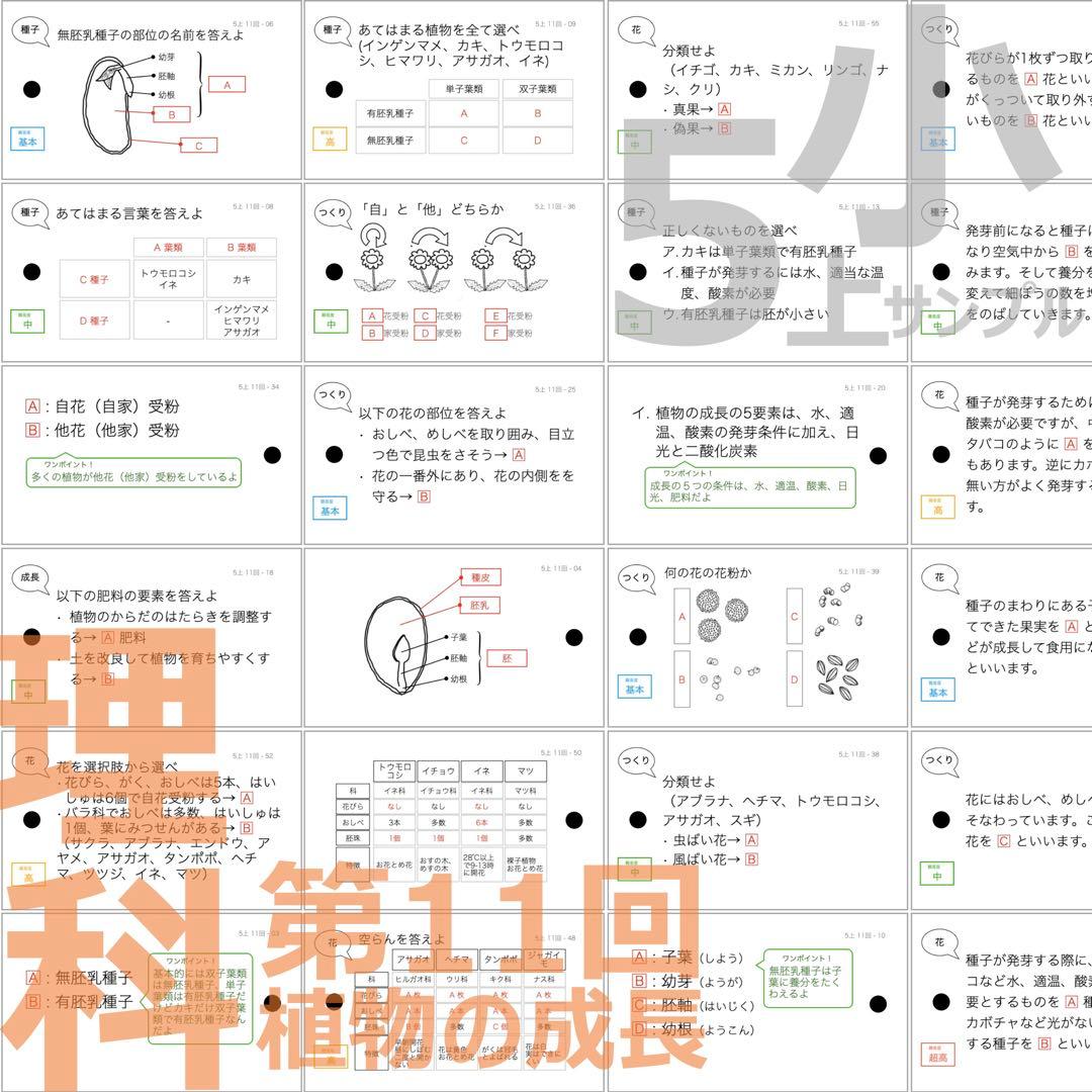 中学受験 暗記カード【5年上 理科11-19回】予習シリーズ 組み分けテスト対策