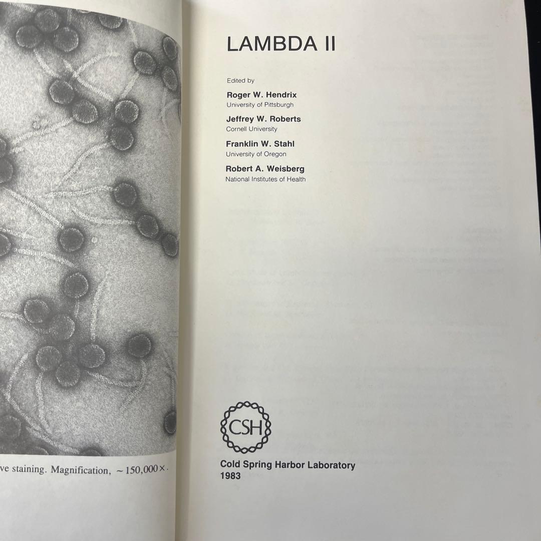 洋書 LAMBDA II