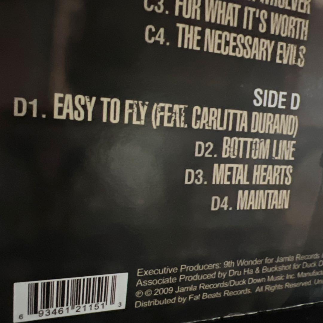 洋楽 skyzoo 2LP the salvation US org