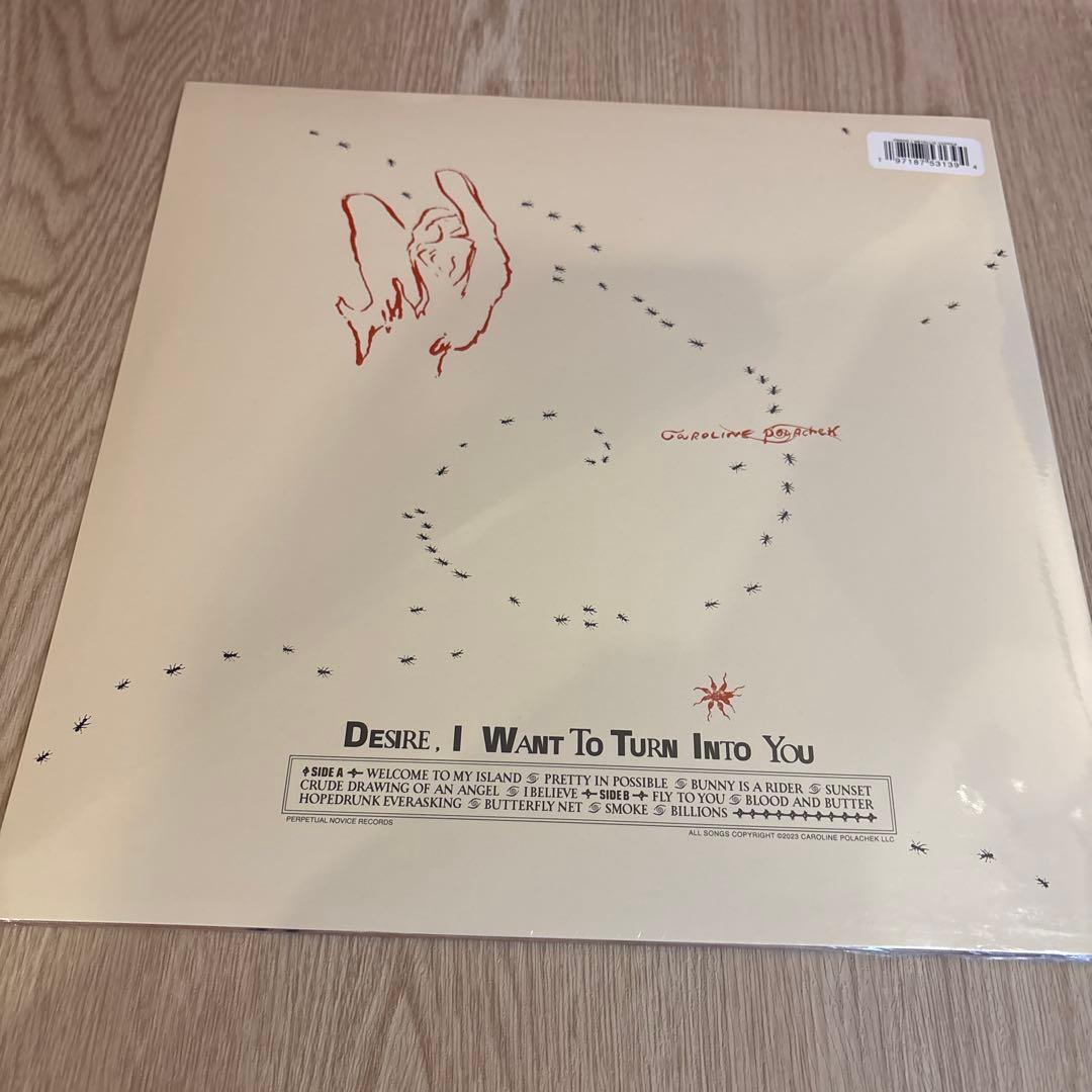 洋楽 Caroline Polachek / Desire, I Want To ~