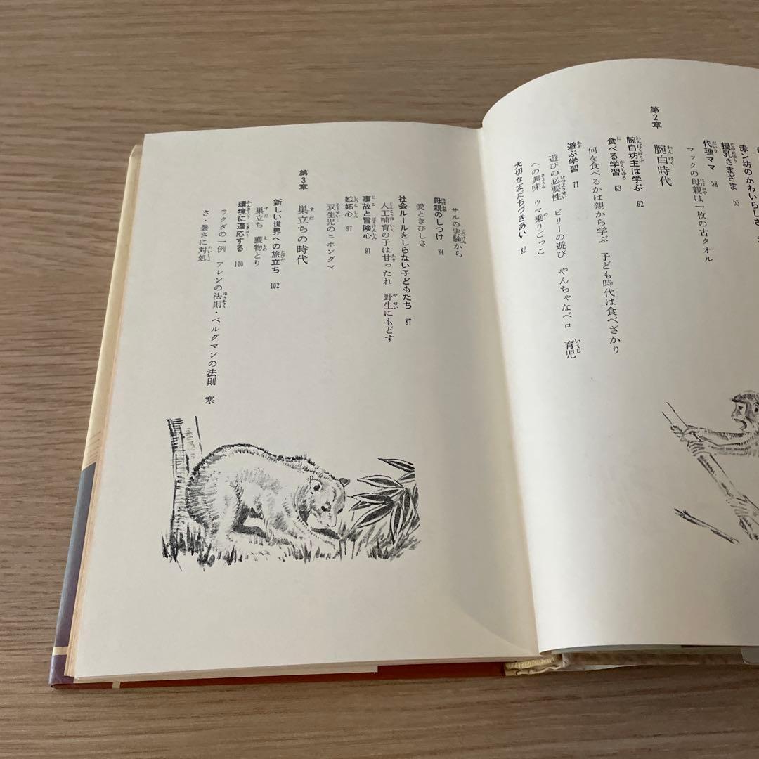 わたしの動物記 増井光子　ポプラ社