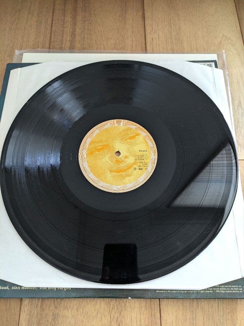 スマッシング・パンプキンズ　THE SMASHING PUMPKINS レコード