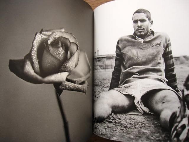 Chasing Beauty　Richard Phibbs　サイン入り