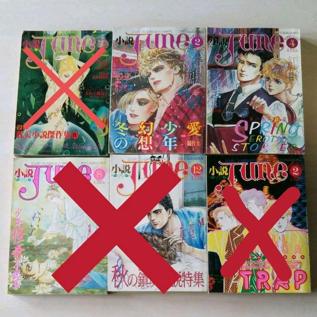 小説JUNE 1985～1989年11冊セット