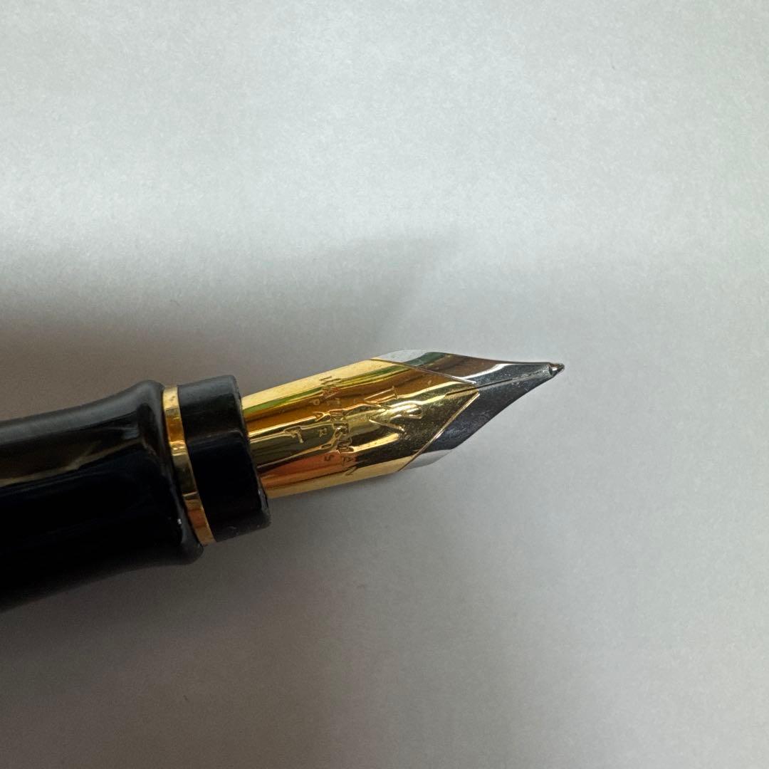 Waterman 万年筆　いん