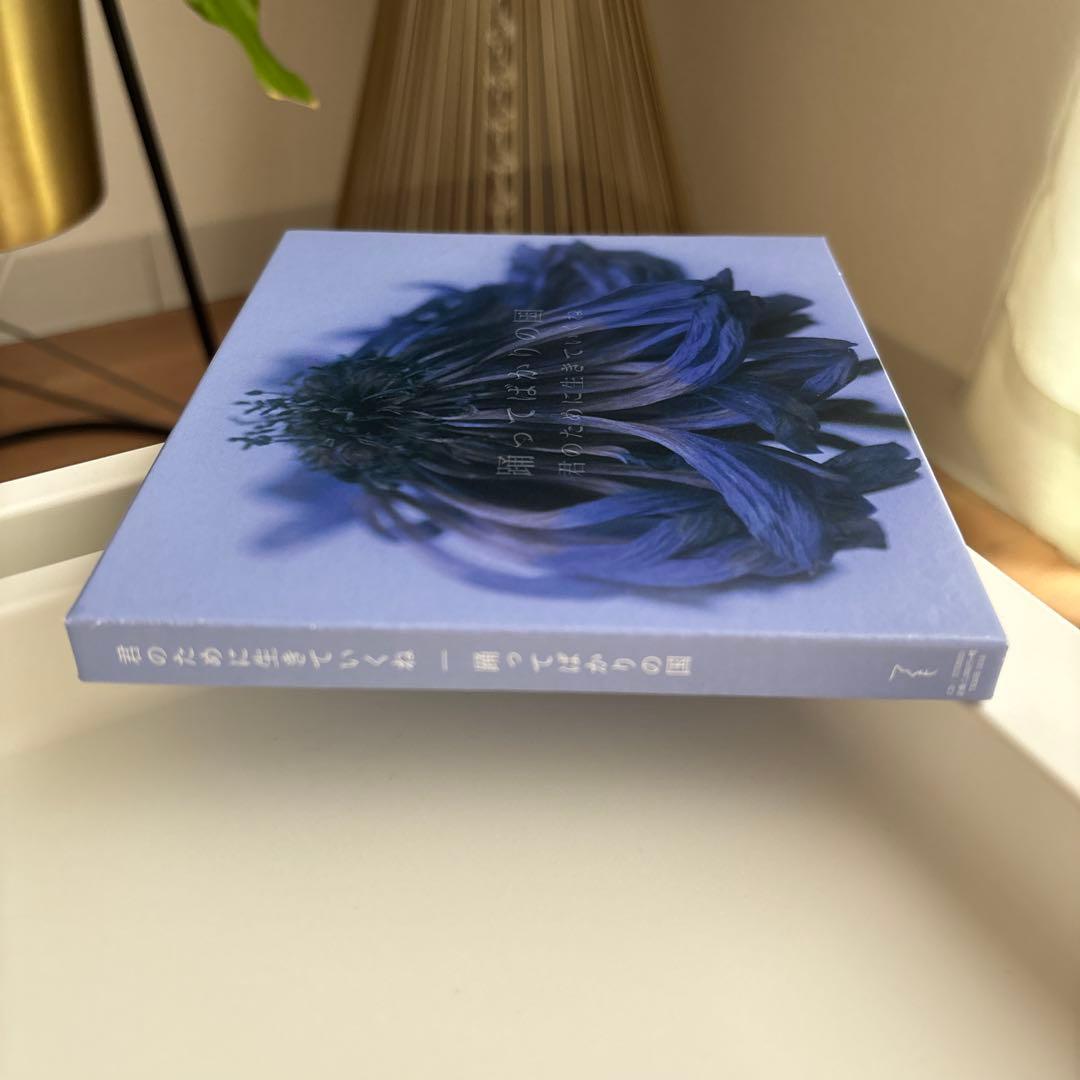 【廃盤】踊ってばかりの国 君のために生きていくね CD