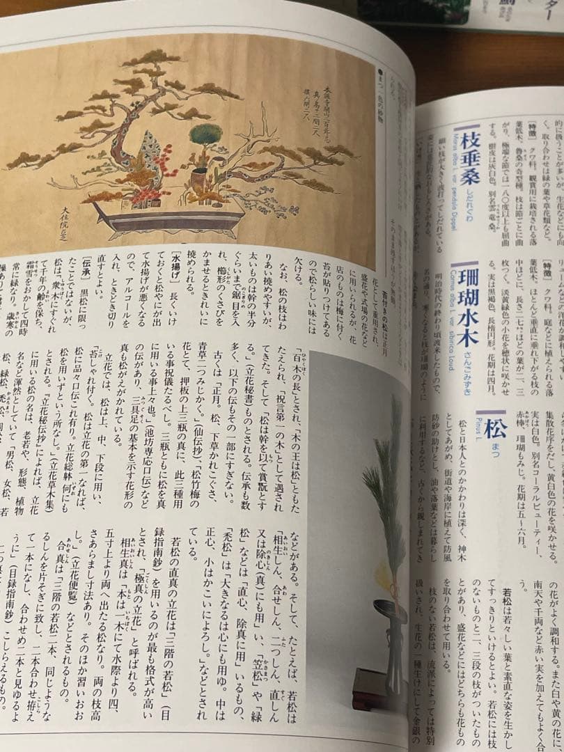 華道の先生のお薦め　四季別いけばな花材事典　講談社　華道茶道に必携