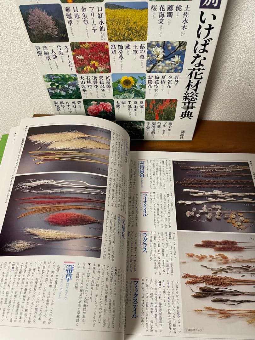 華道の先生のお薦め　四季別いけばな花材事典　講談社　華道茶道に必携