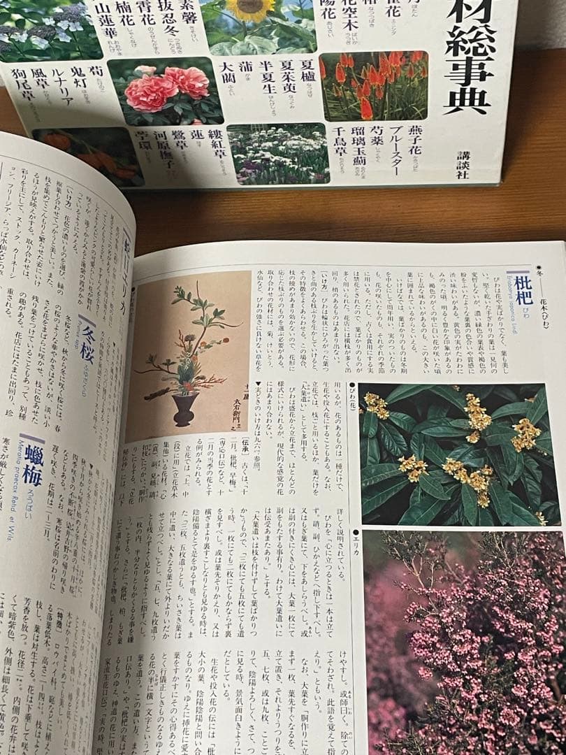 華道の先生のお薦め　四季別いけばな花材事典　講談社　華道茶道に必携