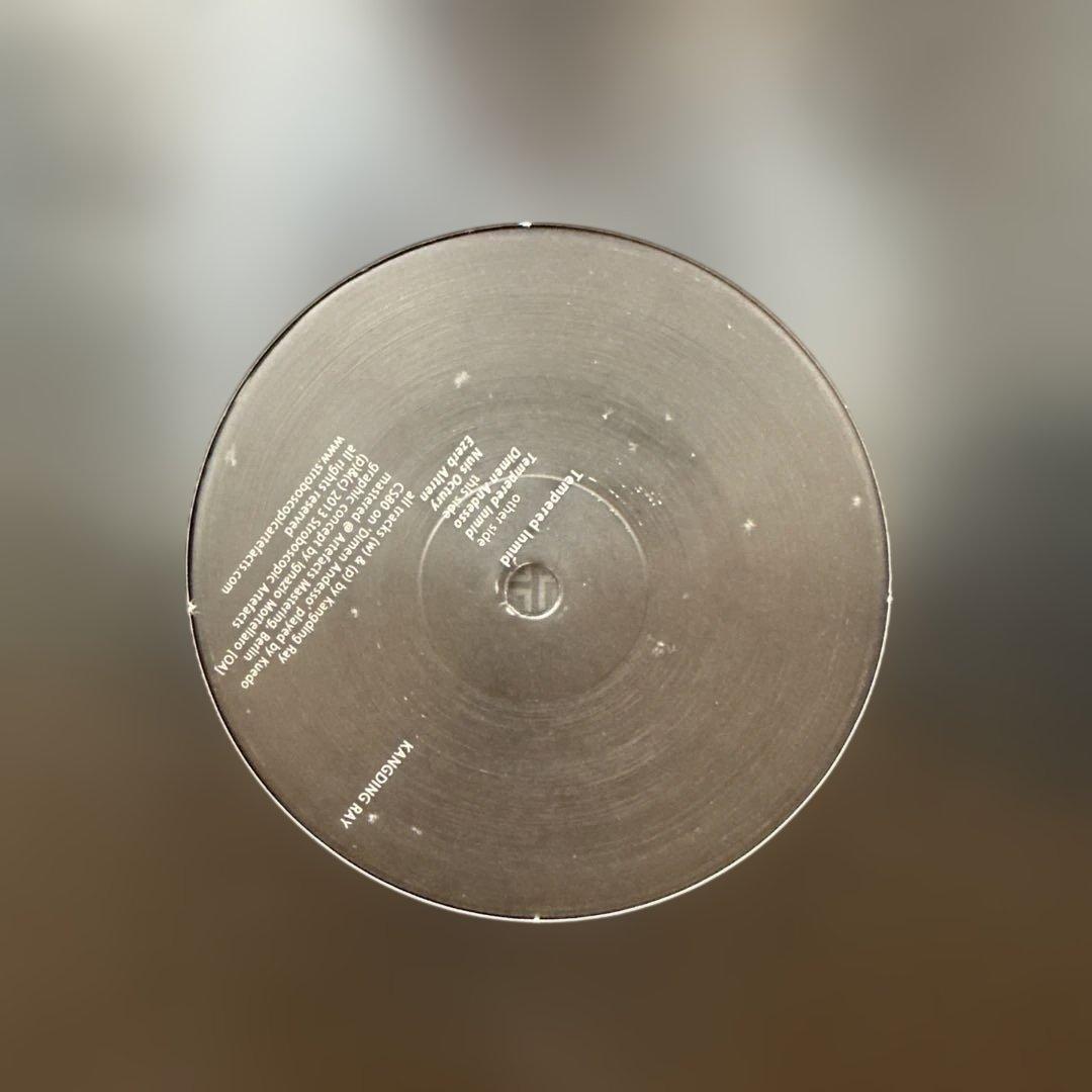 【レコード】テクノ・ハウス 30枚セット（Ken Ishiiサイン入り他）