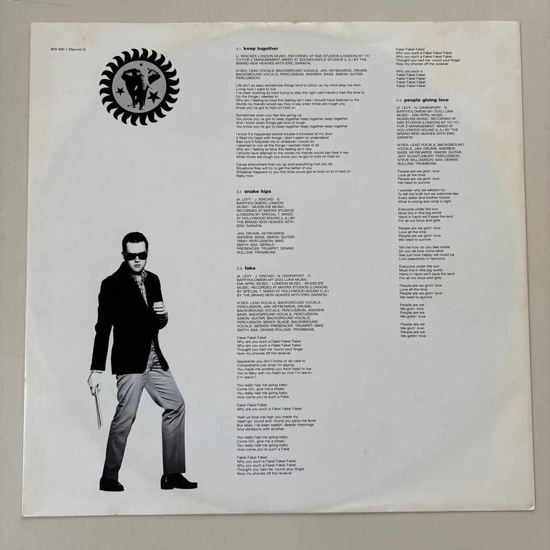 洋楽 THE BRAND NEW HEAVIES / BROTHER SISTER