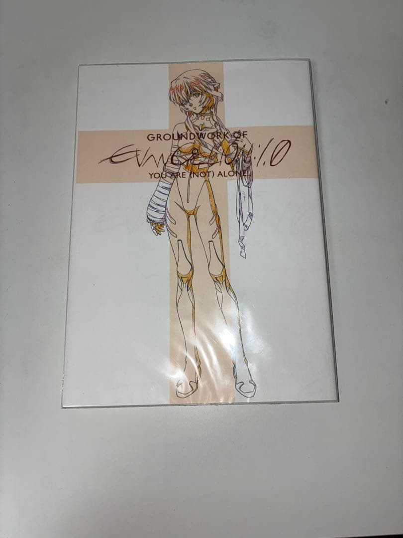 ヱヴァンゲリヲン新劇場版 全記録全集 / 画コンテ集 / 原画集 他