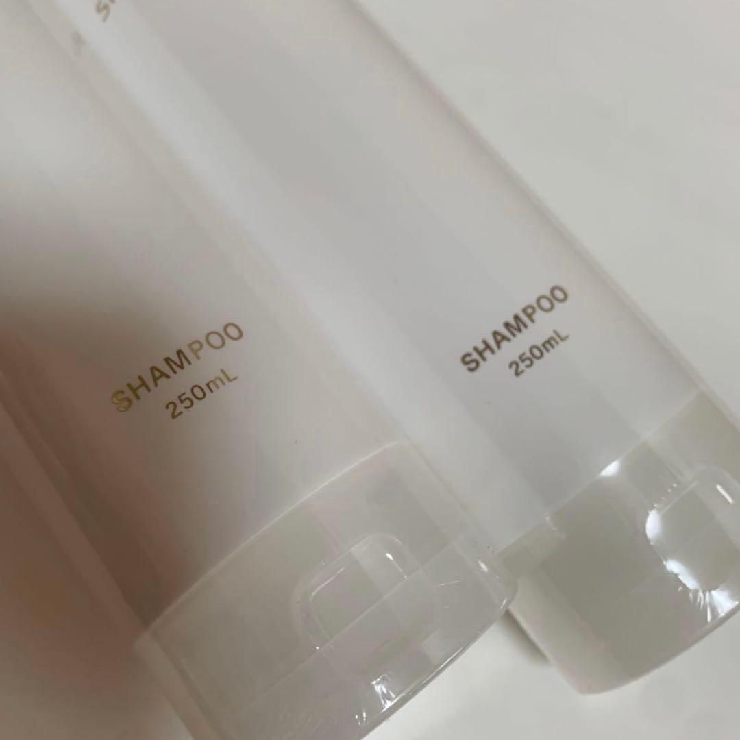 シルクザリッチ　モイスト&リペア　シャンプートリートメント 250ml 2セット