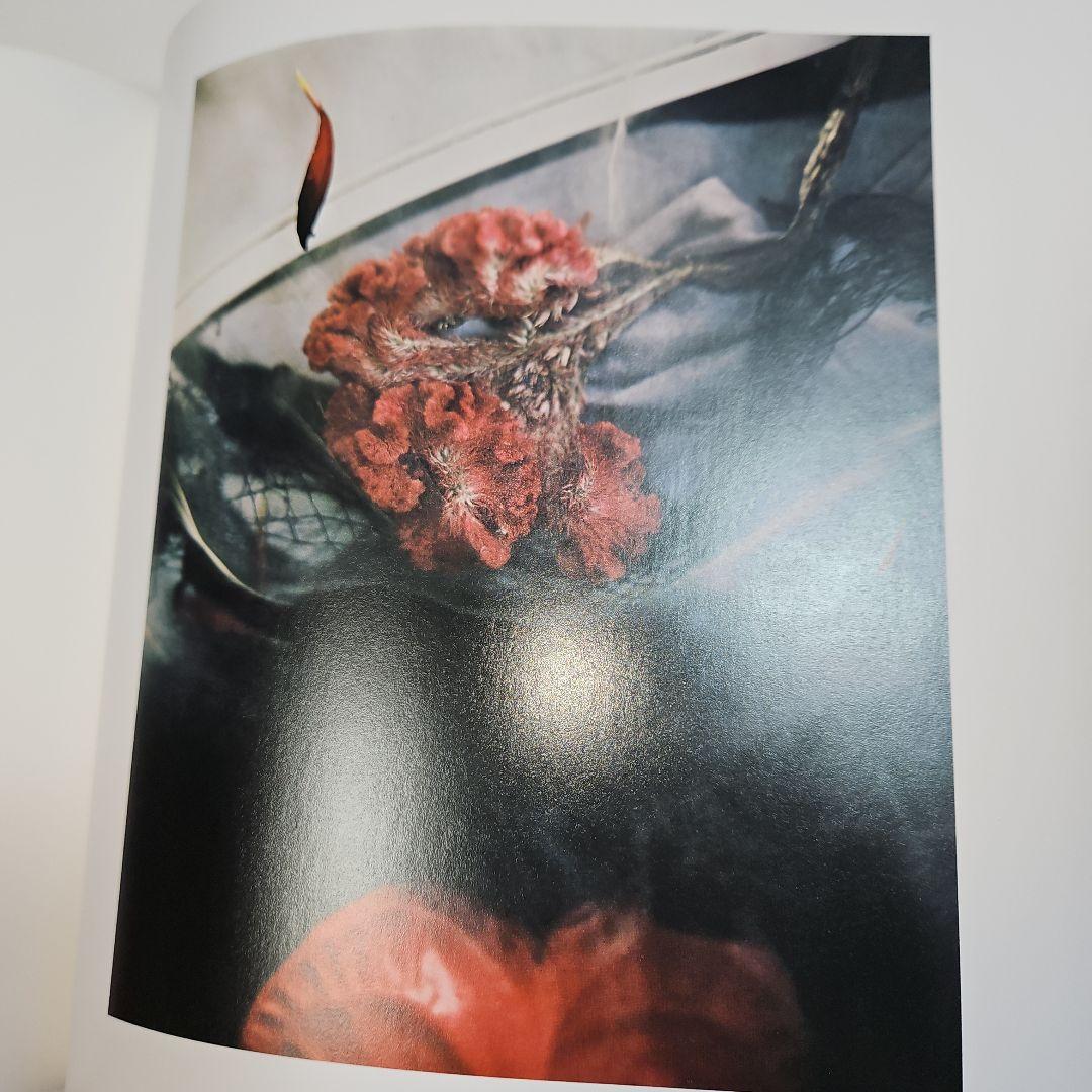 経年 美品　STILL TIME　SALLY MANN　サリーマン　写真集　洋書
