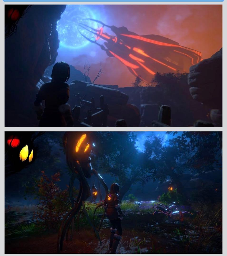 Nintendo Switch Seed of Life switch