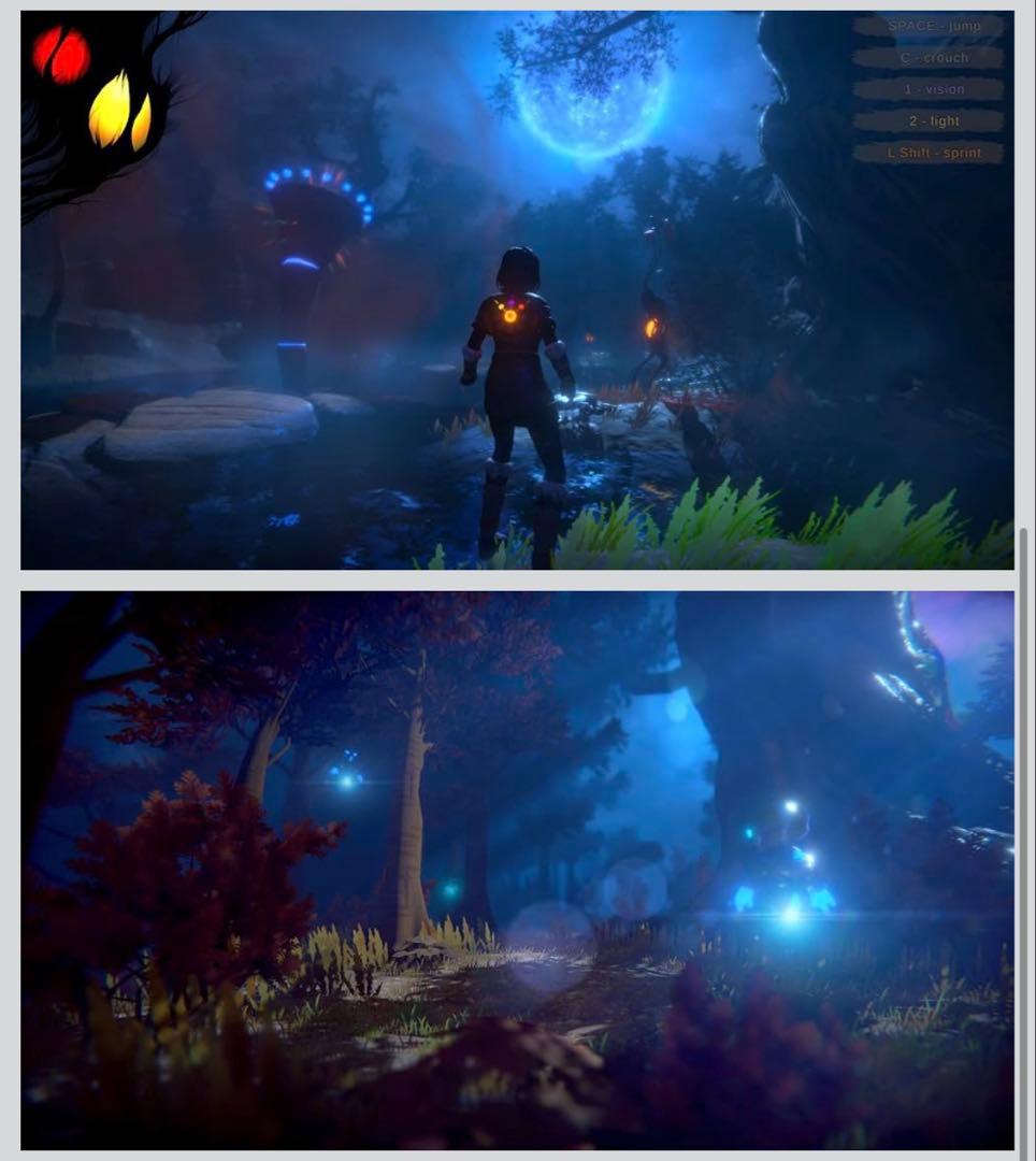 Nintendo Switch Seed of Life switch