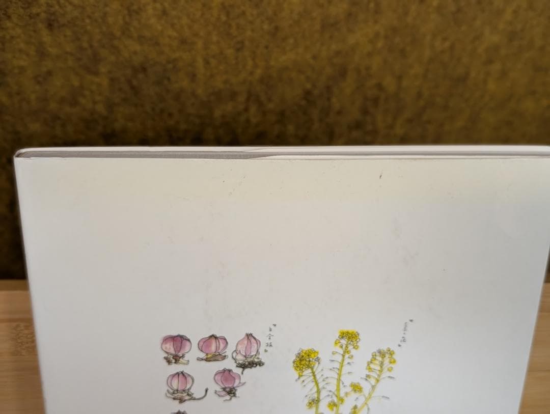 宮脇綾子　アプリケの世界　刺繍　アップリケ　求龍堂グラフィックス