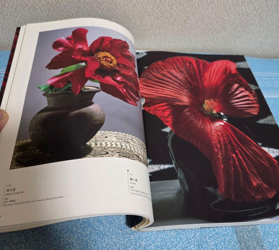 花人 中川幸夫の写真・ガラス・書 いのちのかたち 〔展覧会図録〕
