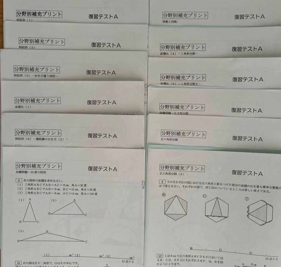 分野別補充プリント 復習テストA SAPIX