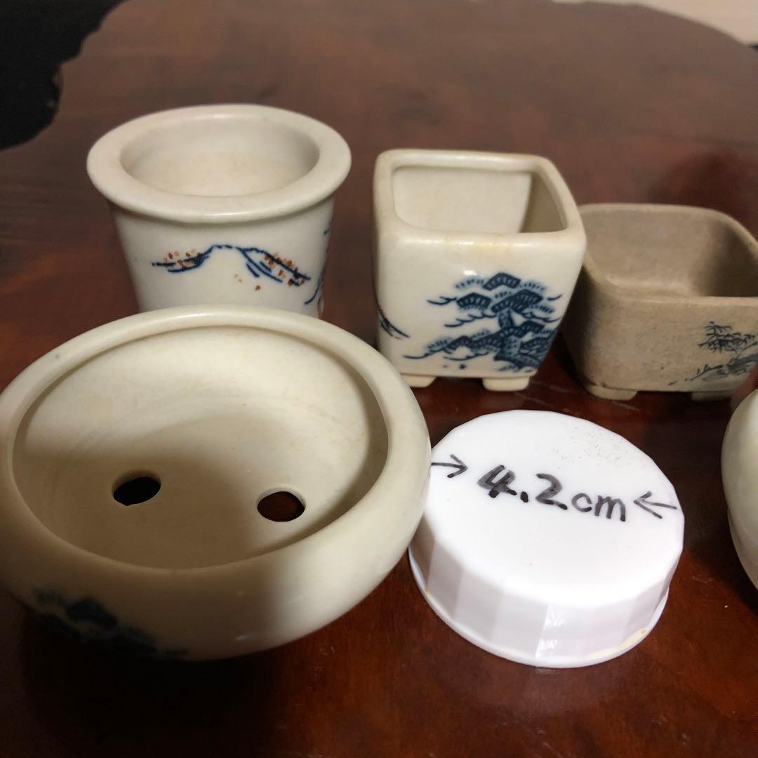 小品盆栽　山野草　サボテン植物　鉢6個組み　陶悦、丸藤他