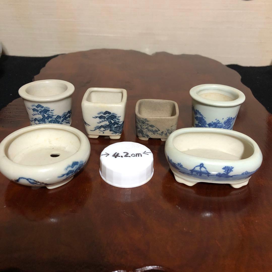 小品盆栽　山野草　サボテン植物　鉢6個組み　陶悦、丸藤他