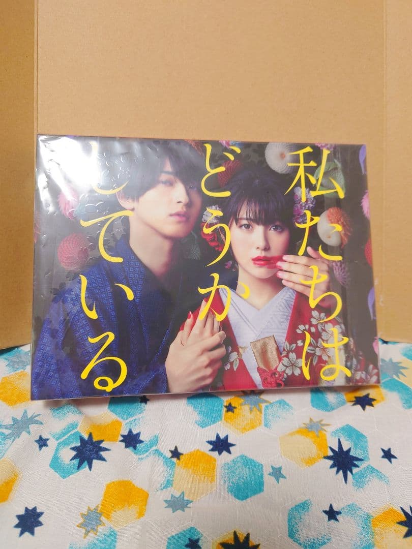 私たちはどうかしている DVD-BOX 5枚組 ポストカード特典付き
